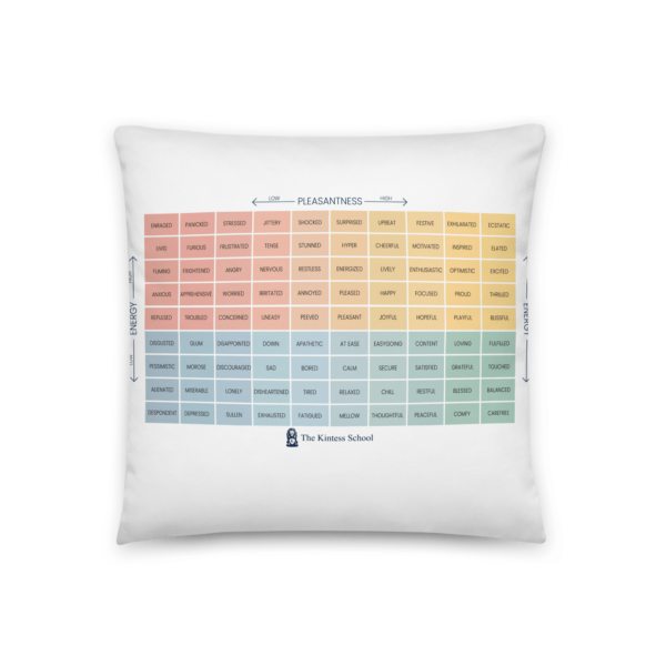 Mood Meter & RULER Method Pillow