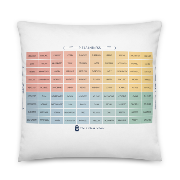 Mood Meter & RULER Method Pillow